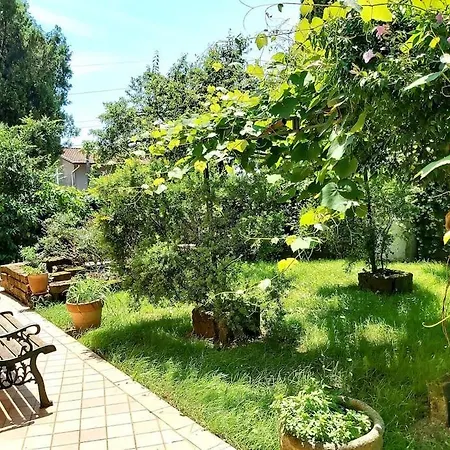 Il Fienile In Toscana A Warm Interior Just A Few Minutes From The Vila *
