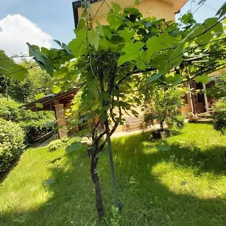 Vila Il Fienile In Toscana A Warm Interior Just A Few Minutes From The *