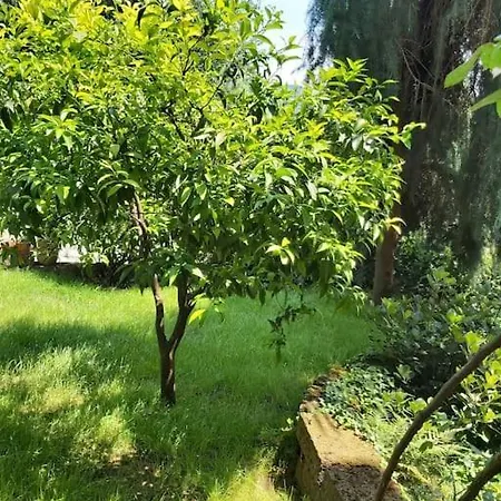 Vila Il Fienile In Toscana A Warm Interior Just A Few Minutes From The