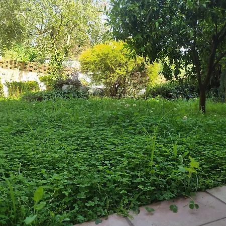 Vila Il Fienile In Toscana A Warm Interior Just A Few Minutes From The *